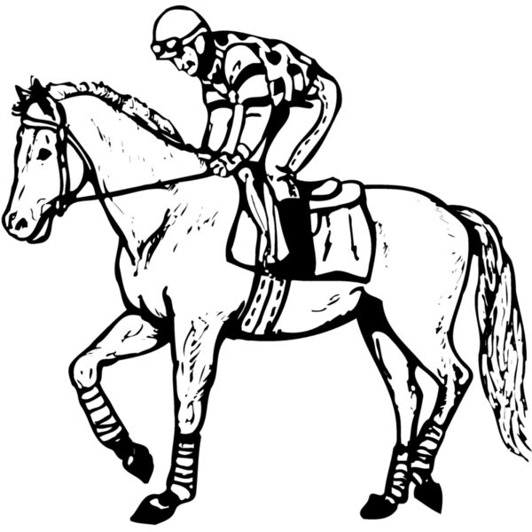 HORSE048 Thumbnail