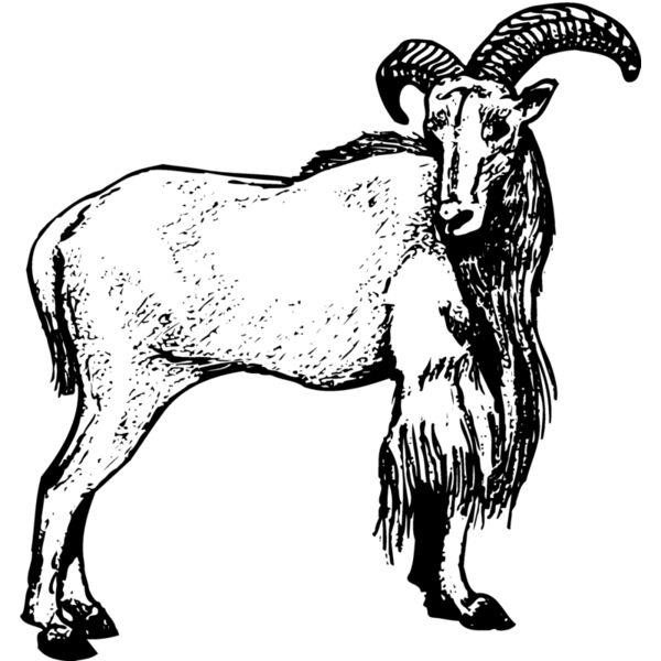 RAM001 Thumbnail