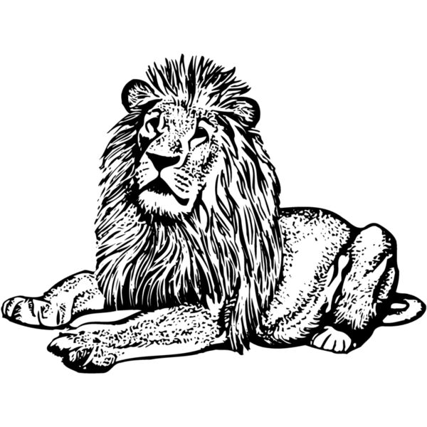 LION004 Thumbnail