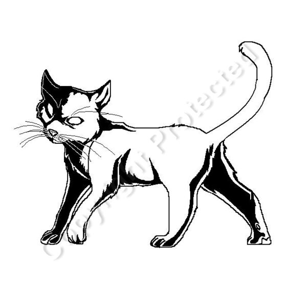 cat Thumbnail
