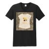 Softstyle ® V Neck T Shirt Thumbnail