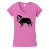Softstyle ® Women's Fit V Neck T Shirt Thumbnail