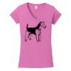Softstyle ® Women's Fit V Neck T Shirt Thumbnail