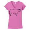 Softstyle ® Women's Fit V Neck T Shirt Thumbnail