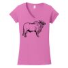Softstyle ® Women's Fit V Neck T Shirt Thumbnail