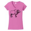 Softstyle ® Women's Fit V Neck T Shirt Thumbnail