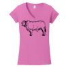 Softstyle ® Women's Fit V Neck T Shirt Thumbnail