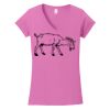 Softstyle ® Women's Fit V Neck T Shirt Thumbnail