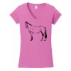 Softstyle ® Women's Fit V Neck T Shirt Thumbnail
