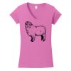 Softstyle ® Women's Fit V Neck T Shirt Thumbnail