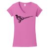 Softstyle ® Women's Fit V Neck T Shirt Thumbnail
