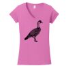 Softstyle ® Women's Fit V Neck T Shirt Thumbnail