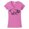 Softstyle ® Women's Fit V Neck T Shirt Thumbnail