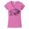 Softstyle ® Women's Fit V Neck T Shirt Thumbnail