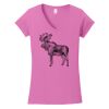 Softstyle ® Women's Fit V Neck T Shirt Thumbnail