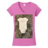 Softstyle ® Women's Fit V Neck T Shirt Thumbnail
