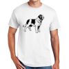 DryBlend ® 50 Cotton/50 Poly T Shirt Thumbnail