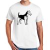 DryBlend ® 50 Cotton/50 Poly T Shirt Thumbnail
