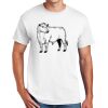 DryBlend ® 50 Cotton/50 Poly T Shirt Thumbnail