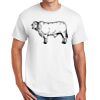 DryBlend ® 50 Cotton/50 Poly T Shirt Thumbnail