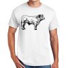 DryBlend ® 50 Cotton/50 Poly T Shirt Thumbnail