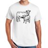 DryBlend ® 50 Cotton/50 Poly T Shirt Thumbnail