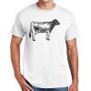DryBlend ® 50 Cotton/50 Poly T Shirt Thumbnail