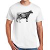 DryBlend ® 50 Cotton/50 Poly T Shirt Thumbnail