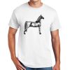 DryBlend ® 50 Cotton/50 Poly T Shirt Thumbnail