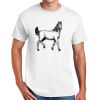 DryBlend ® 50 Cotton/50 Poly T Shirt Thumbnail