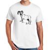 DryBlend ® 50 Cotton/50 Poly T Shirt Thumbnail