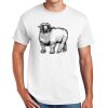 DryBlend ® 50 Cotton/50 Poly T Shirt Thumbnail