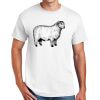 DryBlend ® 50 Cotton/50 Poly T Shirt Thumbnail