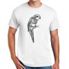 DryBlend ® 50 Cotton/50 Poly T Shirt Thumbnail