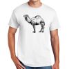 DryBlend ® 50 Cotton/50 Poly T Shirt Thumbnail