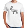 DryBlend ® 50 Cotton/50 Poly T Shirt Thumbnail