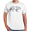 DryBlend ® 50 Cotton/50 Poly T Shirt Thumbnail