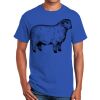 Ultra Cotton ® 100% Cotton T Shirt Thumbnail