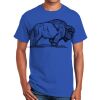 Ultra Cotton ® 100% Cotton T Shirt Thumbnail