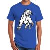 Ultra Cotton ® 100% Cotton T Shirt Thumbnail