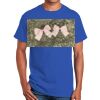 Ultra Cotton ® 100% Cotton T Shirt Thumbnail